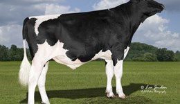 New entrant peaks in pole position